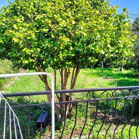 Maison Individuelle Padulella Sisco ภายนอก รูปภาพ