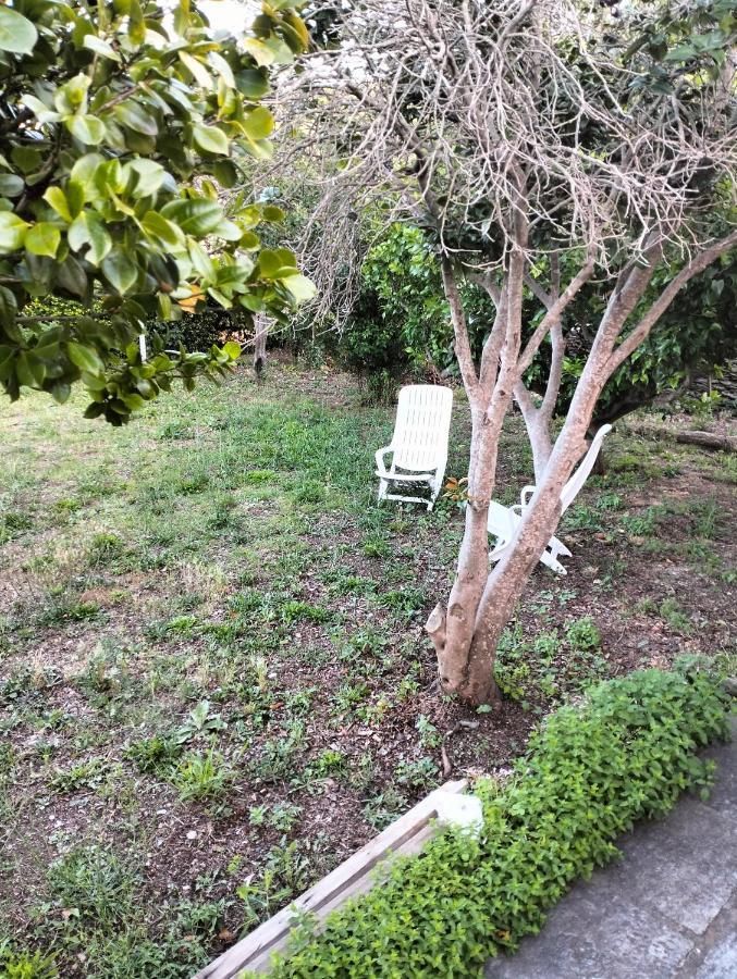 Maison Individuelle Padulella Sisco ภายนอก รูปภาพ